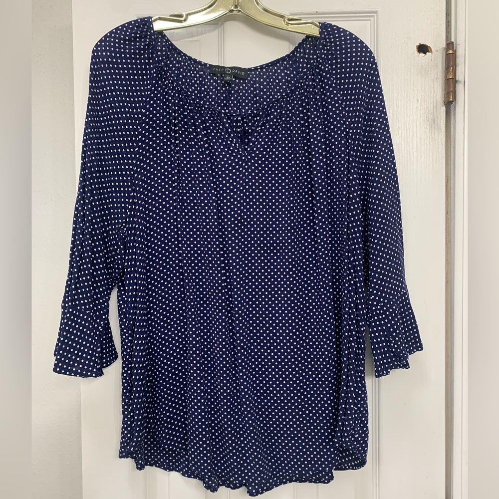 Fred David Polka Dot Blouse 2x